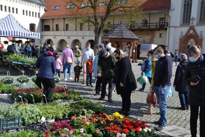 Zamkowy jarmark kwiatów w kwietniu na Zamku Piastowskim